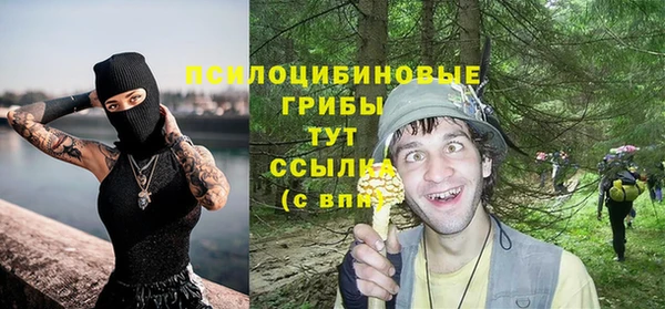 дживик Алексеевка