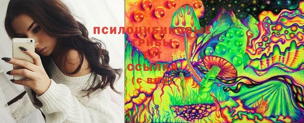 стафф Алзамай