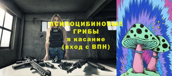 прущие грибы Алексин