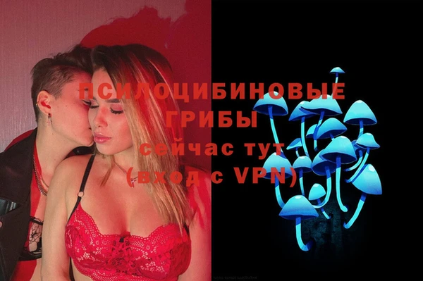 дживик Алексеевка