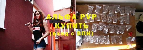 прущие грибы Алексин