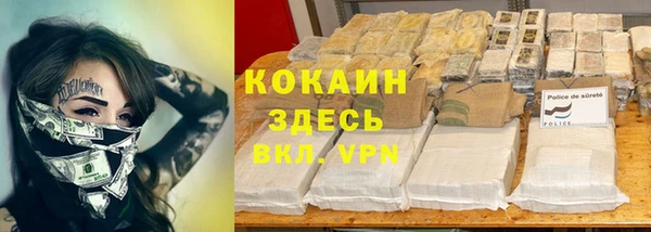 стафф Алзамай