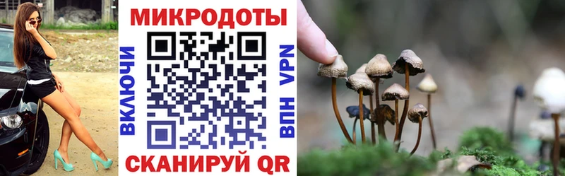Псилоцибиновые грибы Psilocybine cubensis  гидра как зайти  Покров 